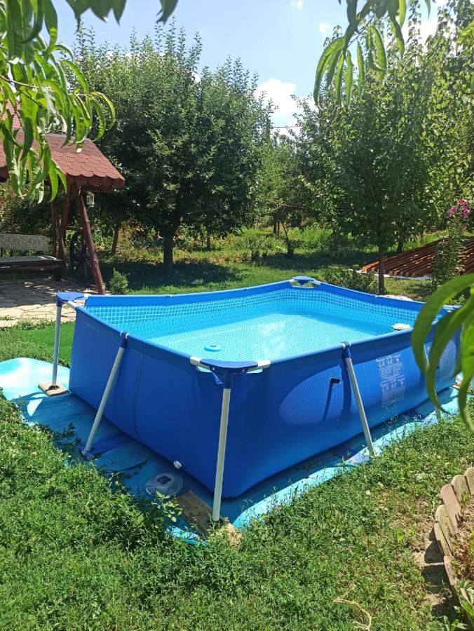 Agropensiunea Florina-Maria Branistea  Екстер'єр фото